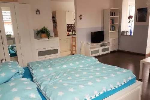 Austernfischerin Langeoog -