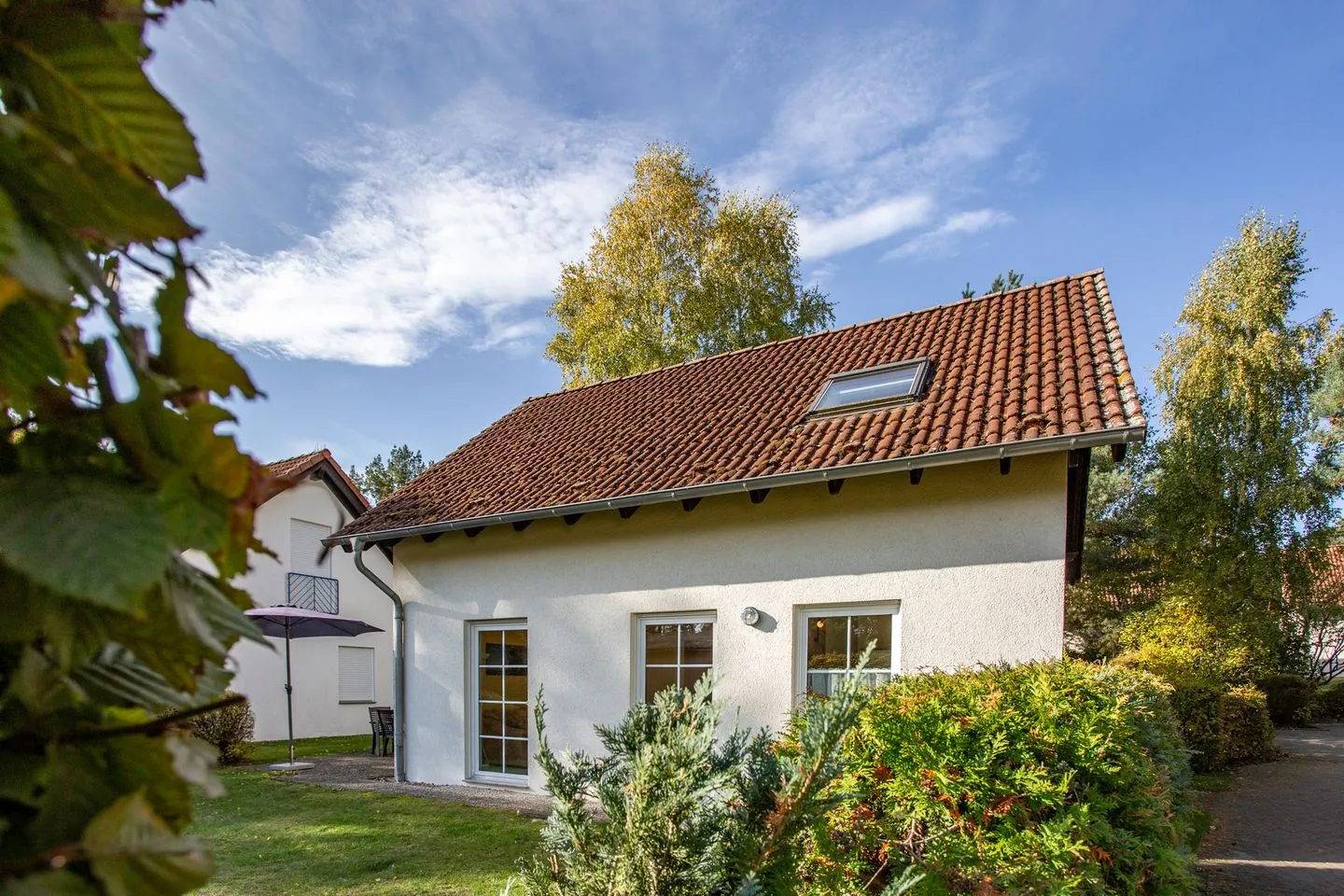 Schwanensee Plauer See - Hauptansicht