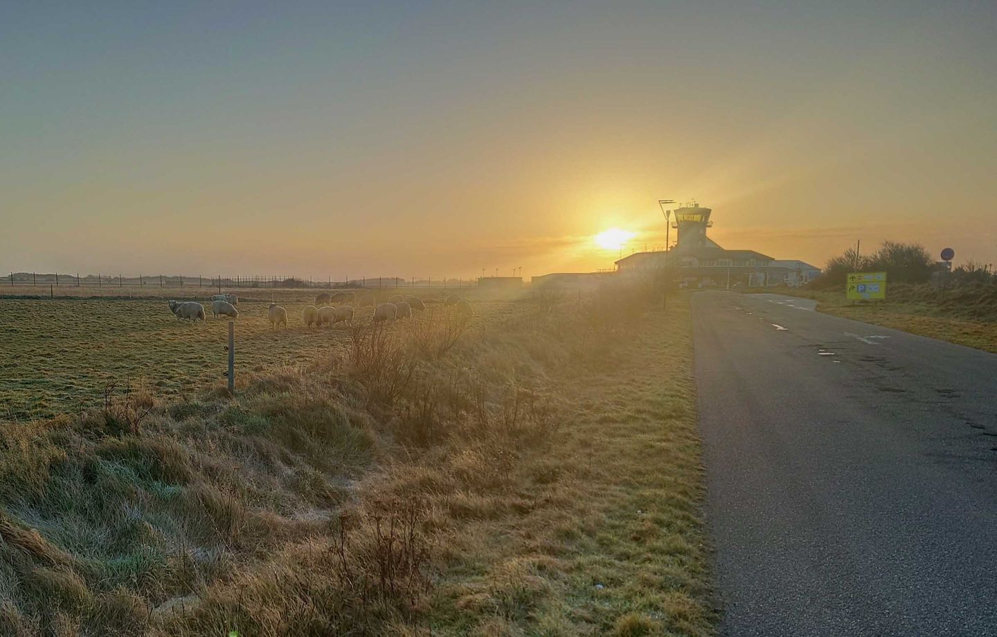 Flughafen Sylt zum Sonnenaufgang mit Schafe im Morgennebel