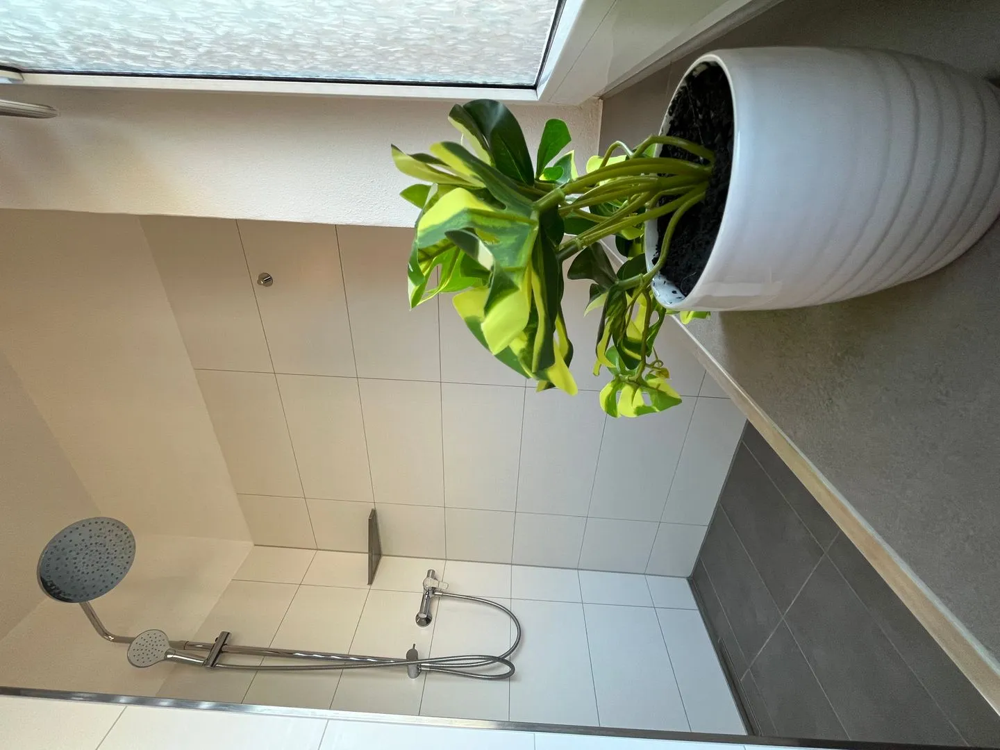 Wohnperle Oskar06 - zentral, Parkplatz Dresden -