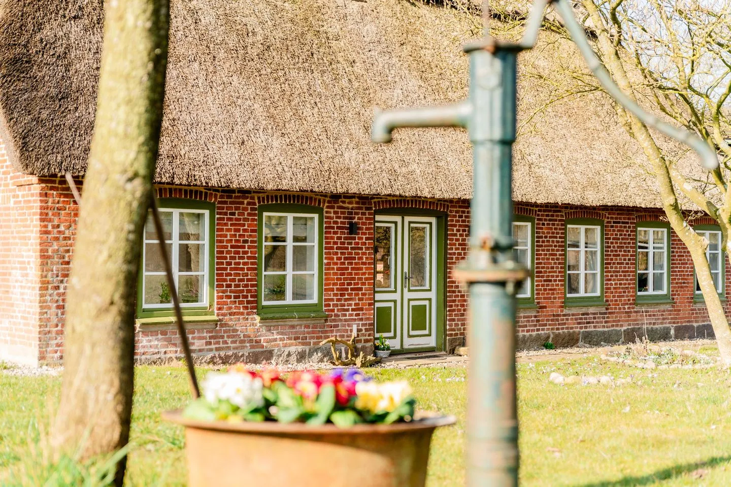 Ferienwohnung Teve im Reethus Mühlenlund Steinbergkirche - Garten