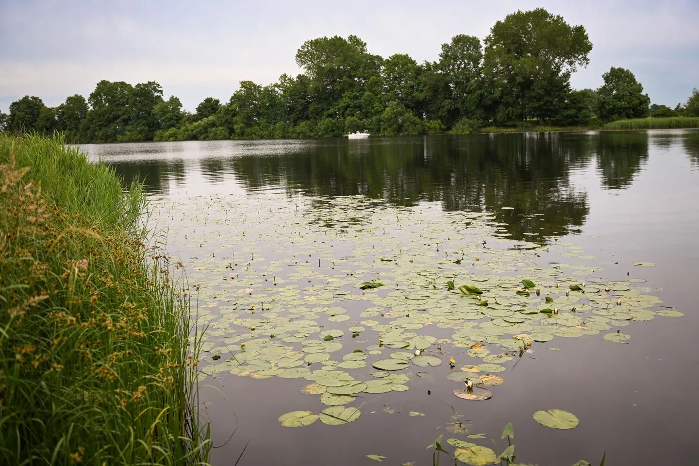 Ferienpark Süderstapel - Hausboot 1 Hundefreundlich Eider - Landschaft