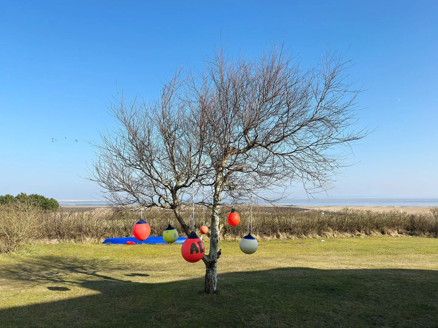 Haus Bräätlun Ferienwohnung Bräätlun 3 Norddorf auf Amrum - Landschaft