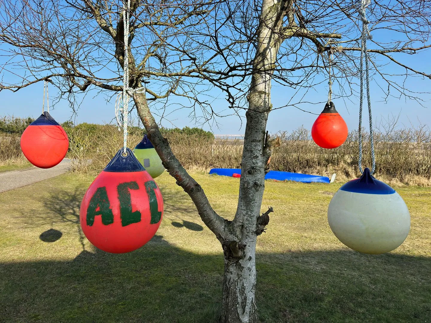 Haus Bräätlun Ferienwohnung Bräätlun 2 Norddorf auf Amrum - Landschaft