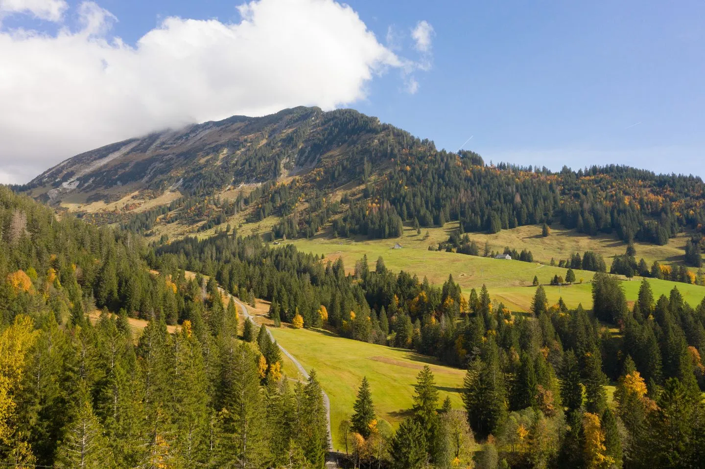 Ferienhaus Bergblick Arvenbüel - Landschaft