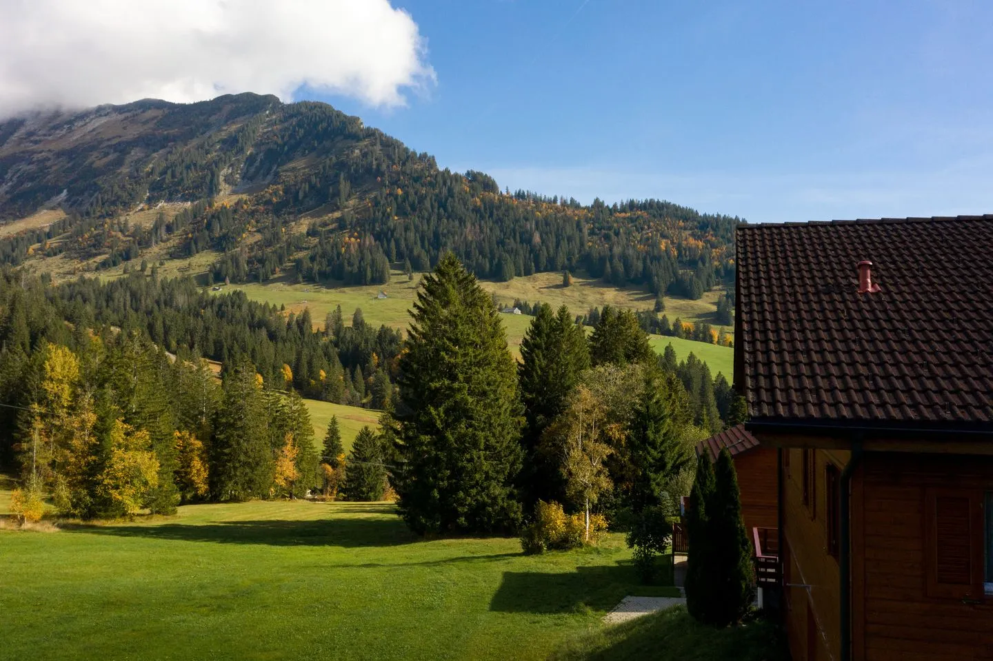 Ferienhaus Bergblick Arvenbüel - Landschaft