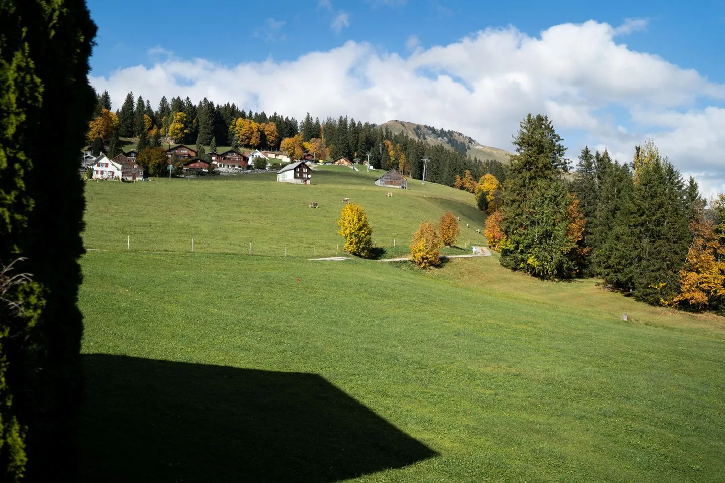 Ferienhaus Bergblick Arvenbüel - Landschaft