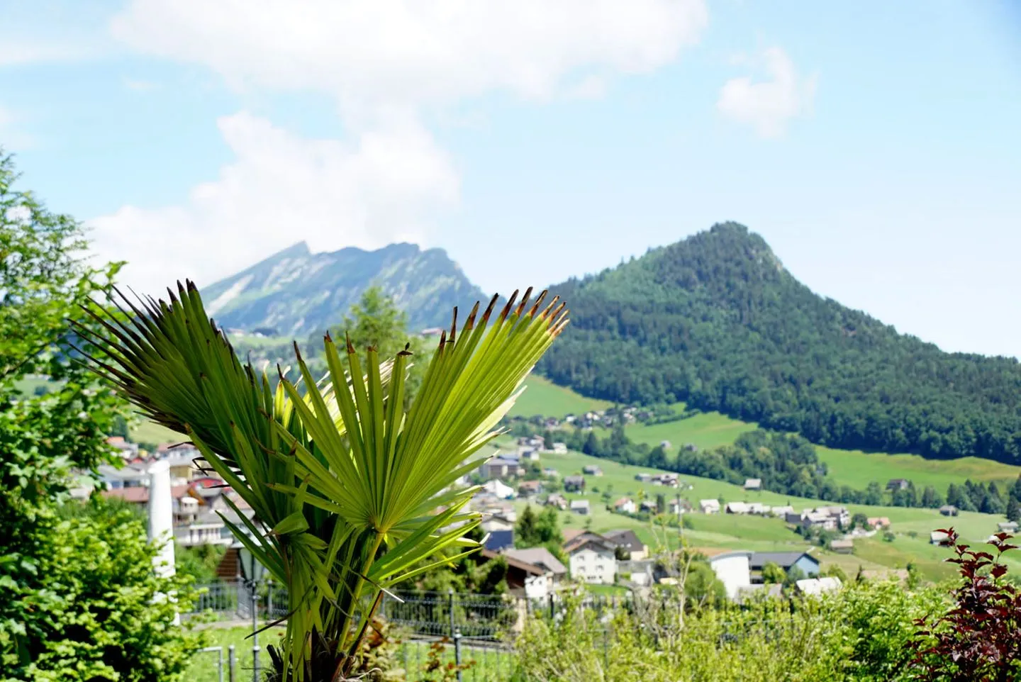 Apartment Bijou am Bach Amden - Berge