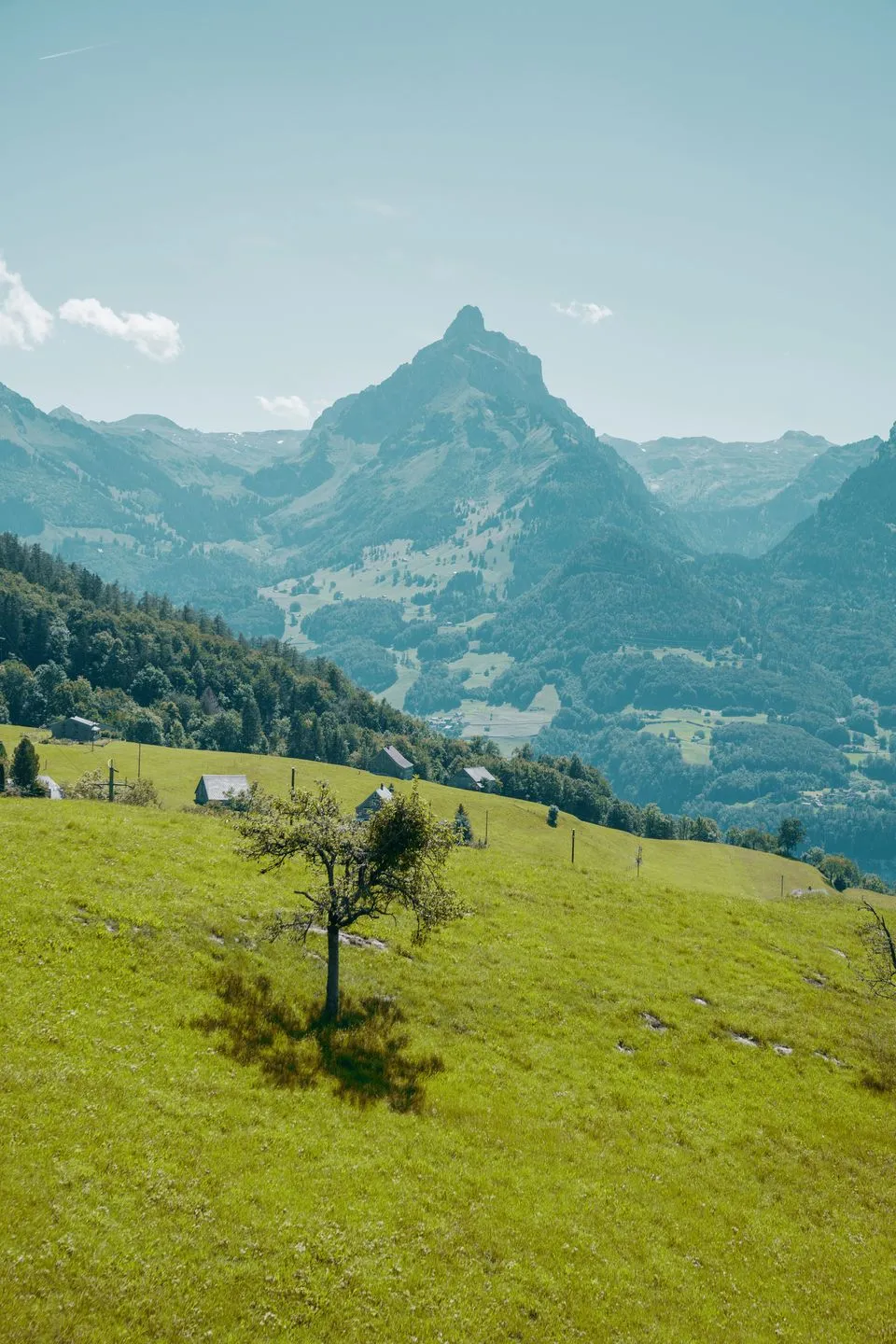 Apartment Schwendihaus Amden - Mountains