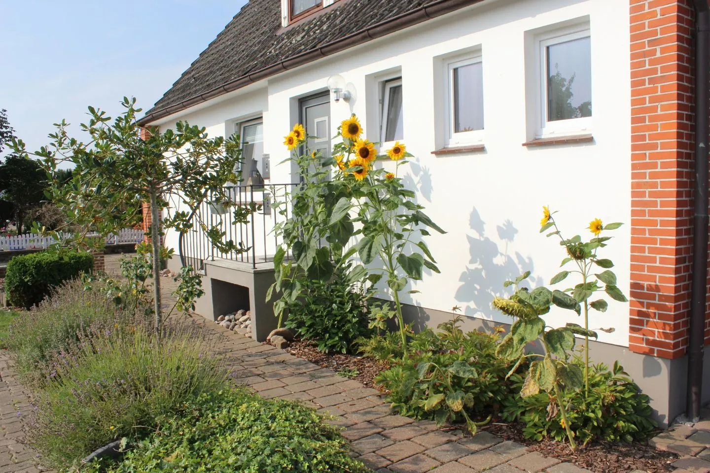 "Hygge", ideal für E-biker und Kite-Surfer Fehmarn - "Hygge", ideal für E-biker und Kite-Surfer-4