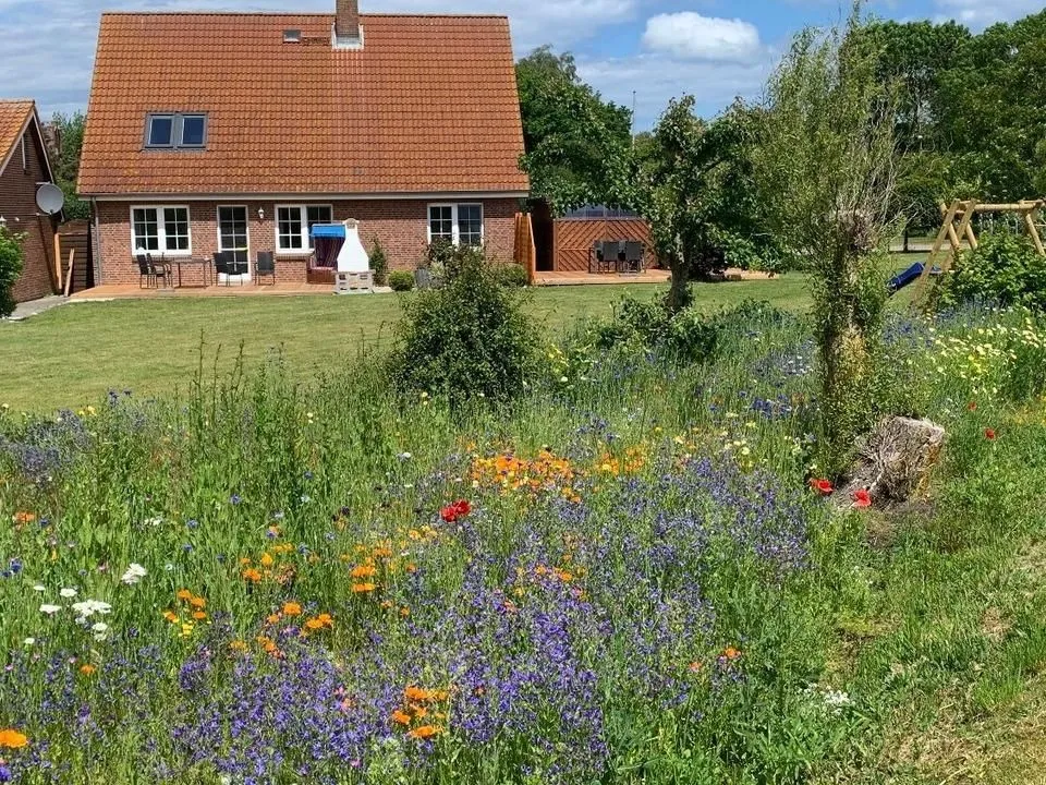 Sundblick, ideal für Familien Fehmarn - Sundblick, ideal für Familien-18