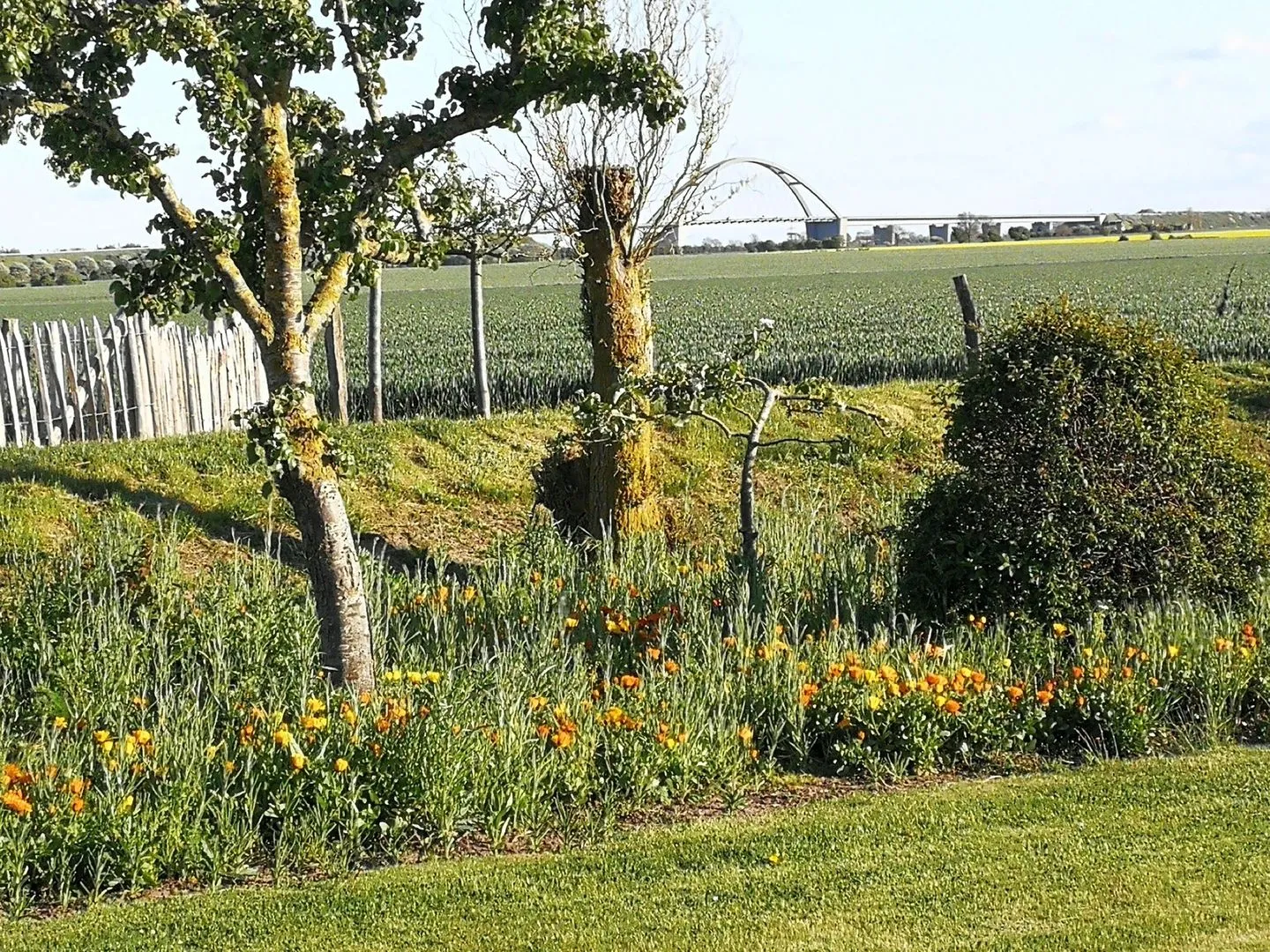 Sundblick, ideal für Familien Fehmarn - Sundblick, ideal für Familien-21