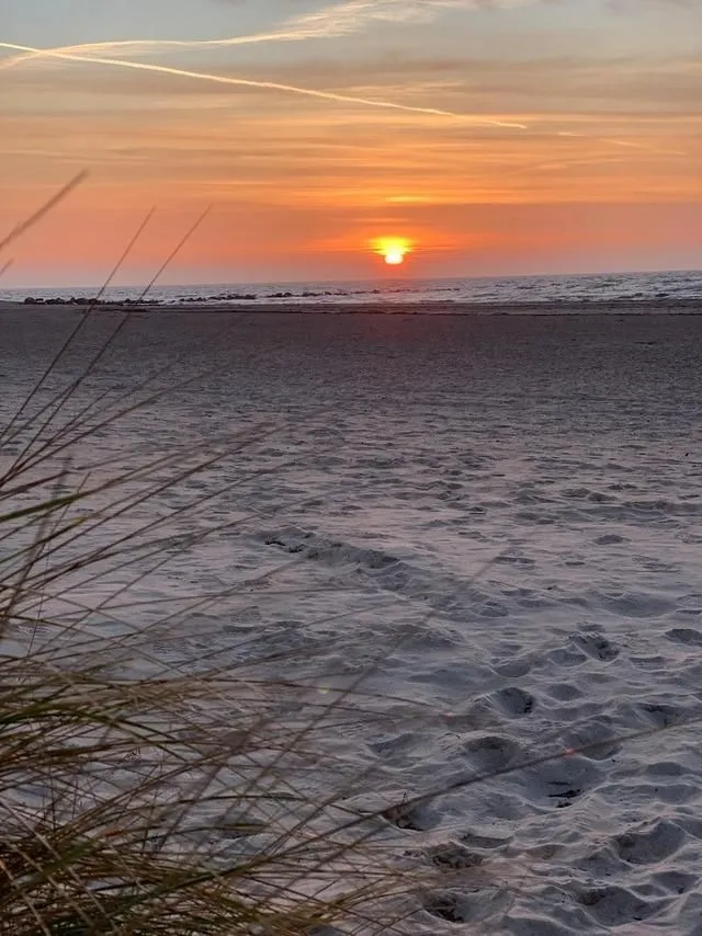 Meerbrise Südstrand - Meerbrise-12
