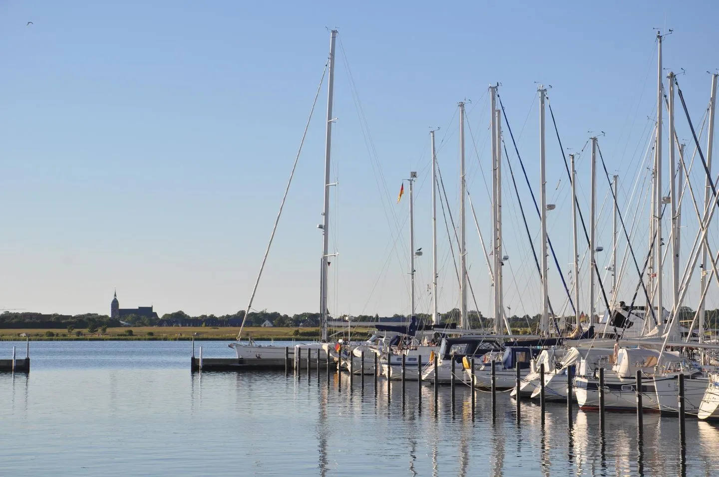 Ferienwohnung "Seemöwe" Südstrand - Ferienwohnung "Seemöwe"-11