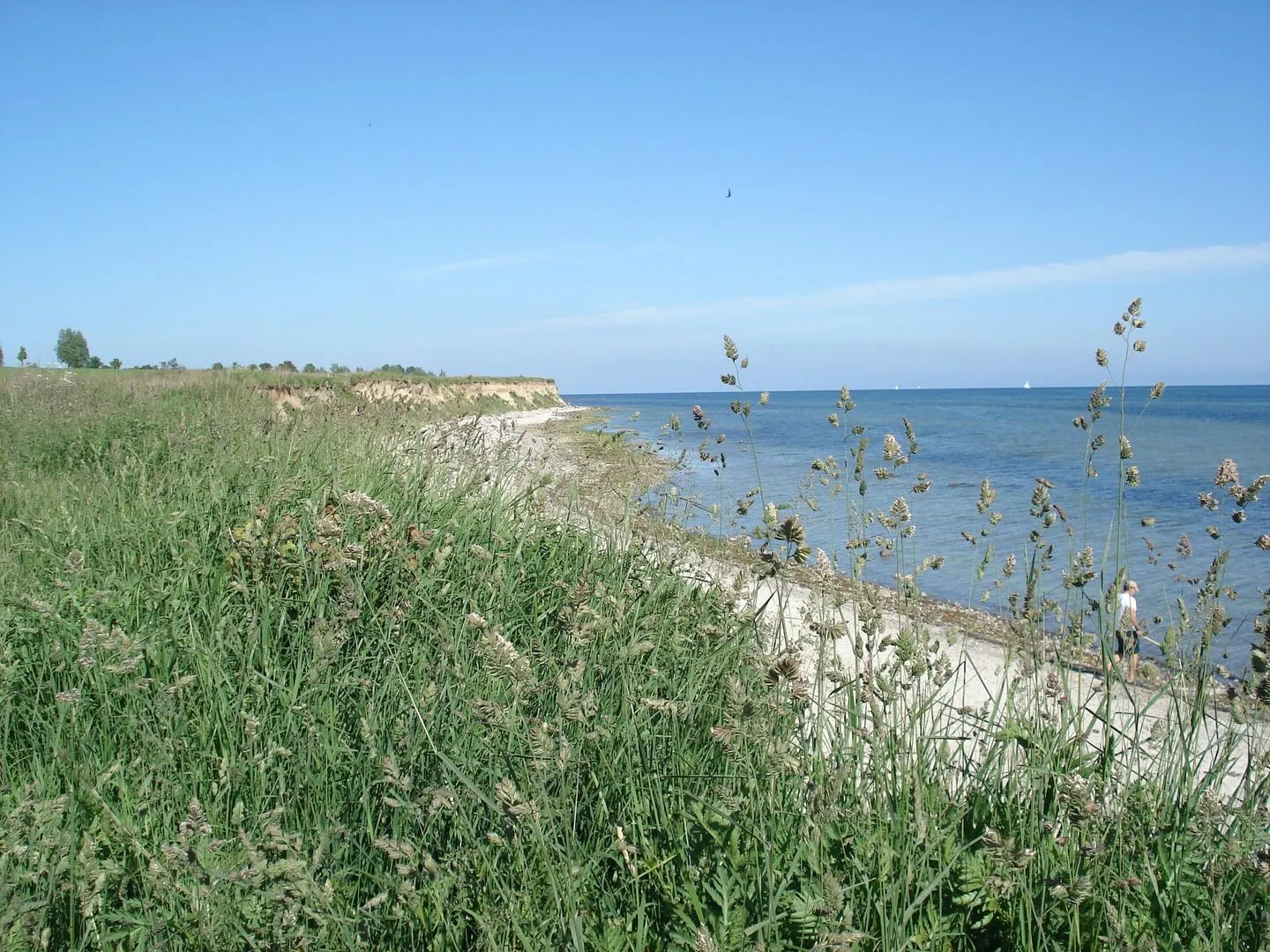 "CASA-MARE" Fehmarn Fehmarn - "CASA-MARE" Fehmarn-15