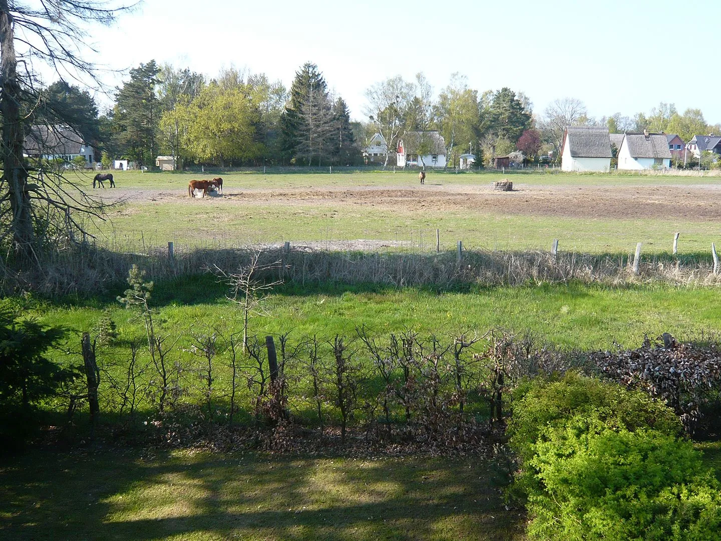 Haus Anna Ostseebad Prerow - Gartenblick