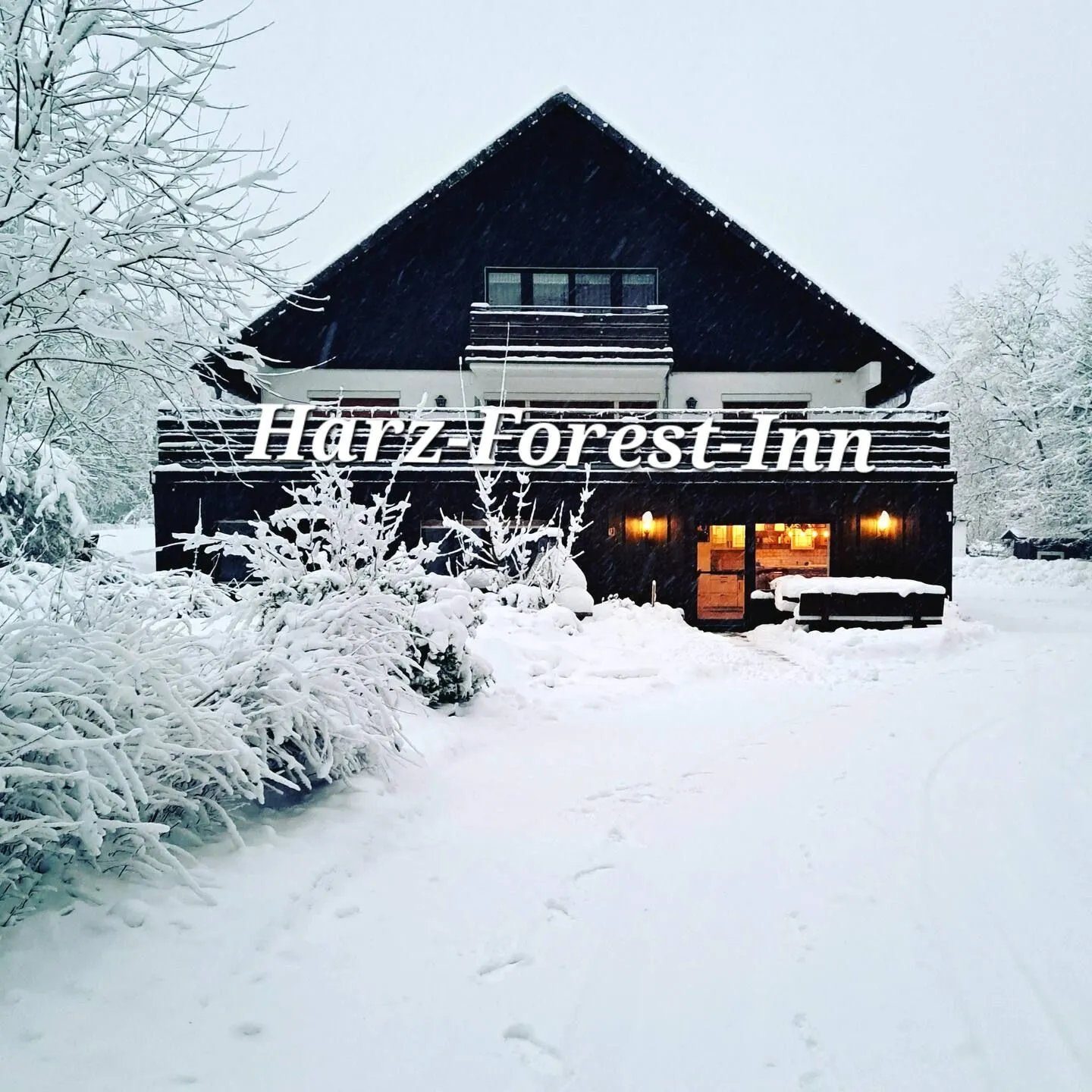 Harz-Forest-Inn -