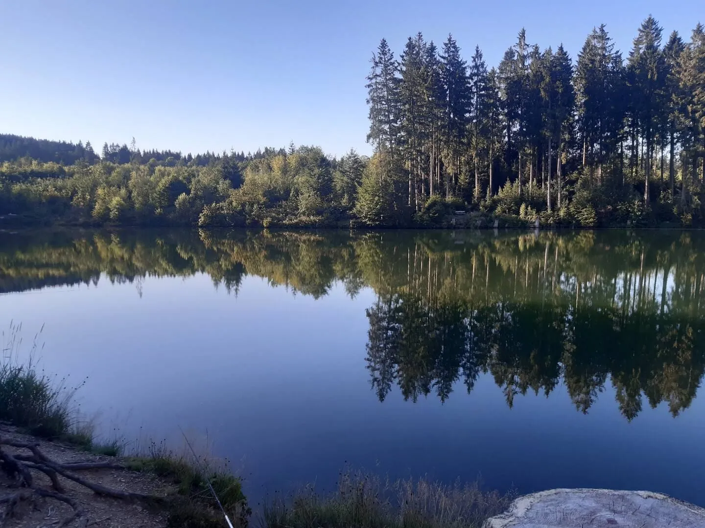 Harz-Forest-Inn -