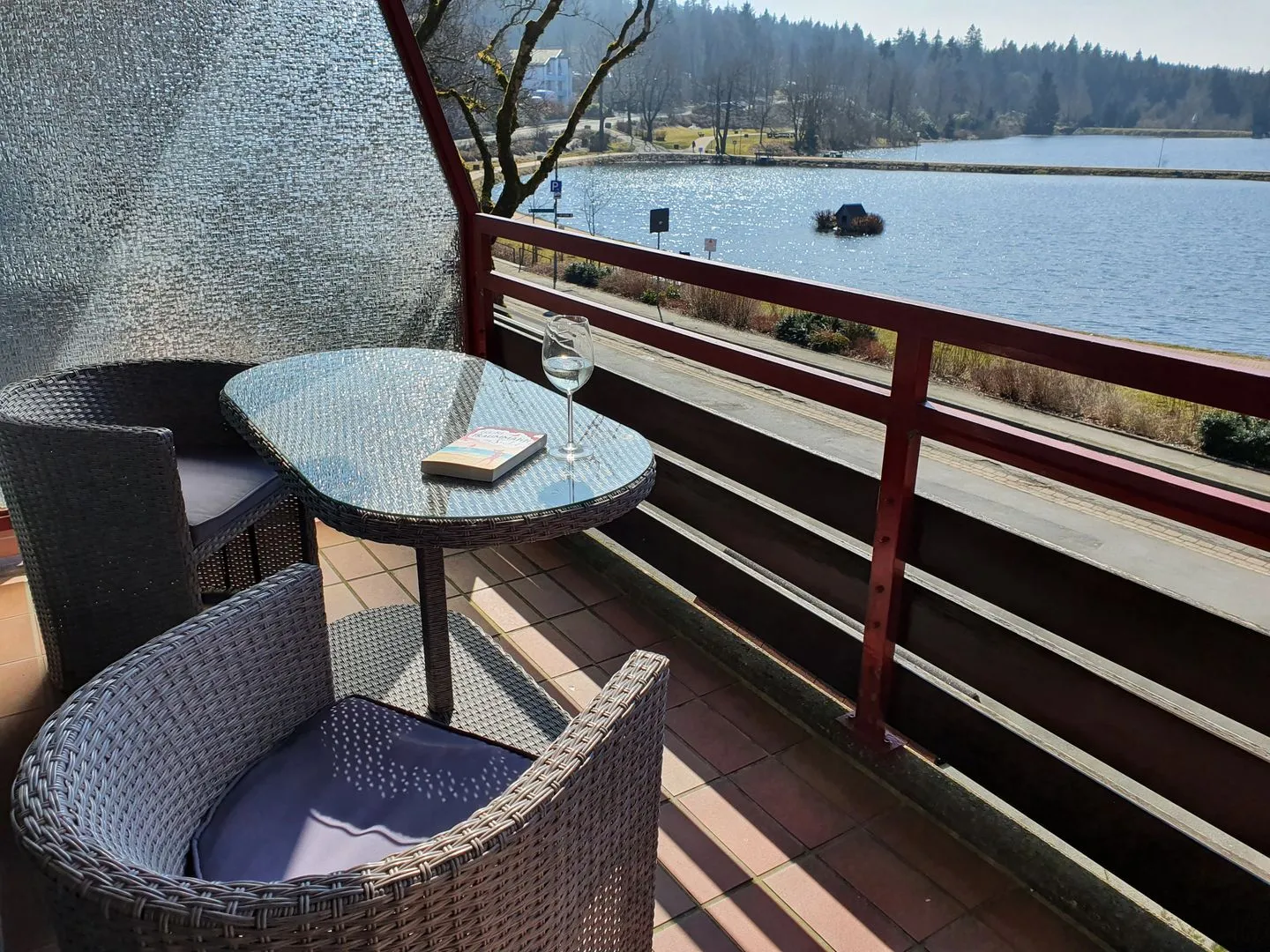 Haus Vier Jahreszeiten am See HS 216 Hahnenklee -