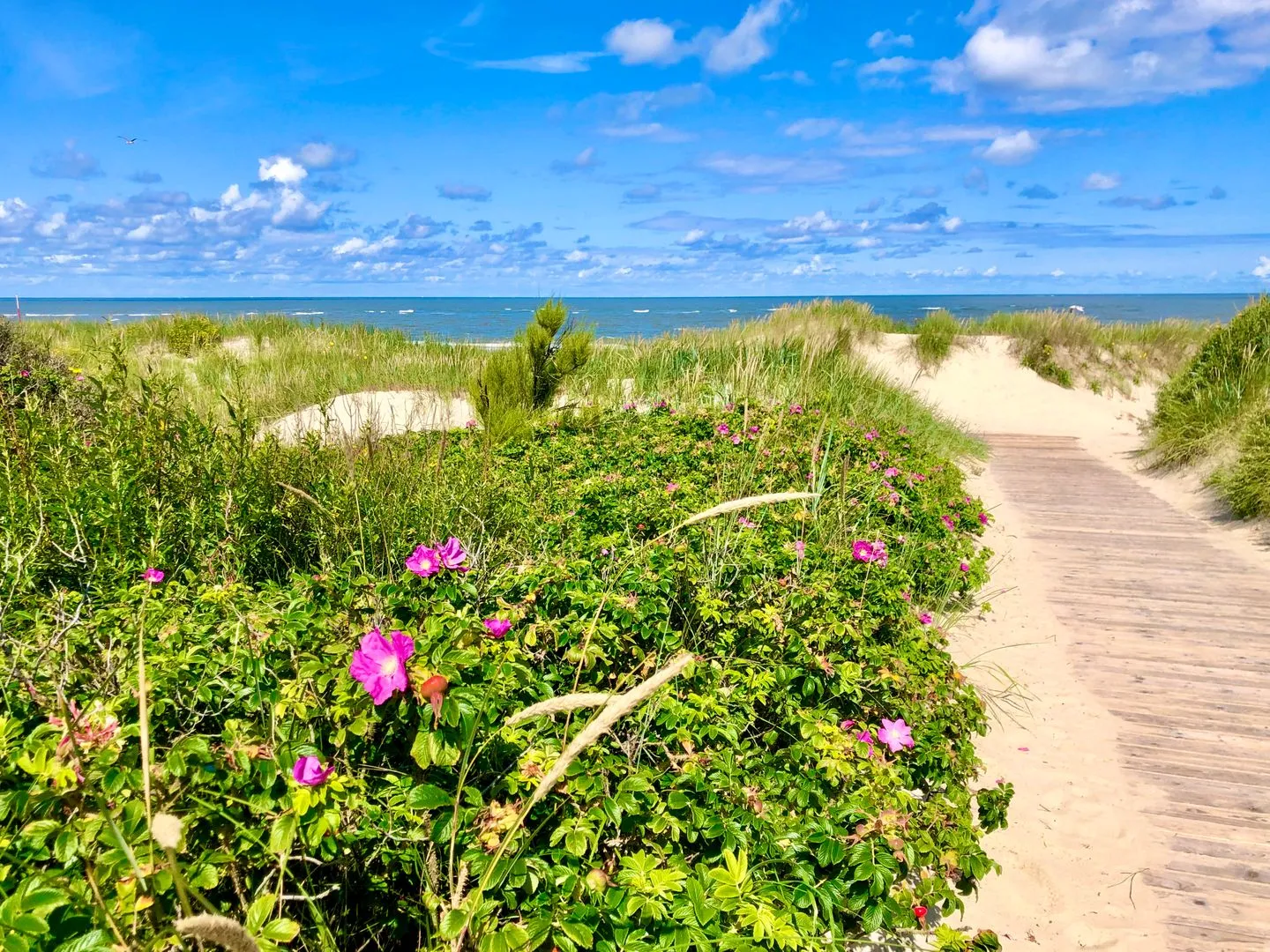 K-Hus Langeoog -