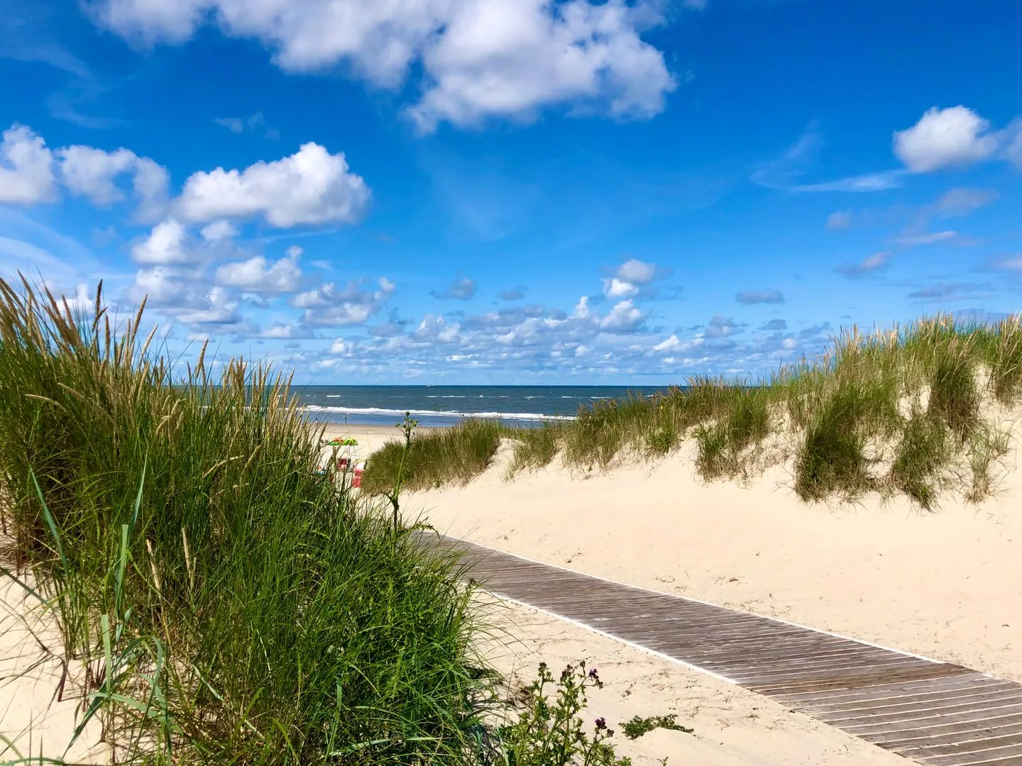 Am Wall 16 - Nele EG Langeoog -