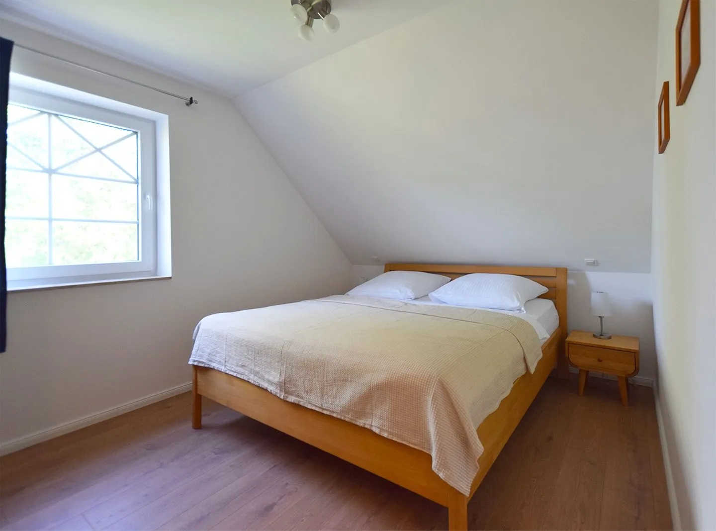 Seelilie Ostseebad Prerow -