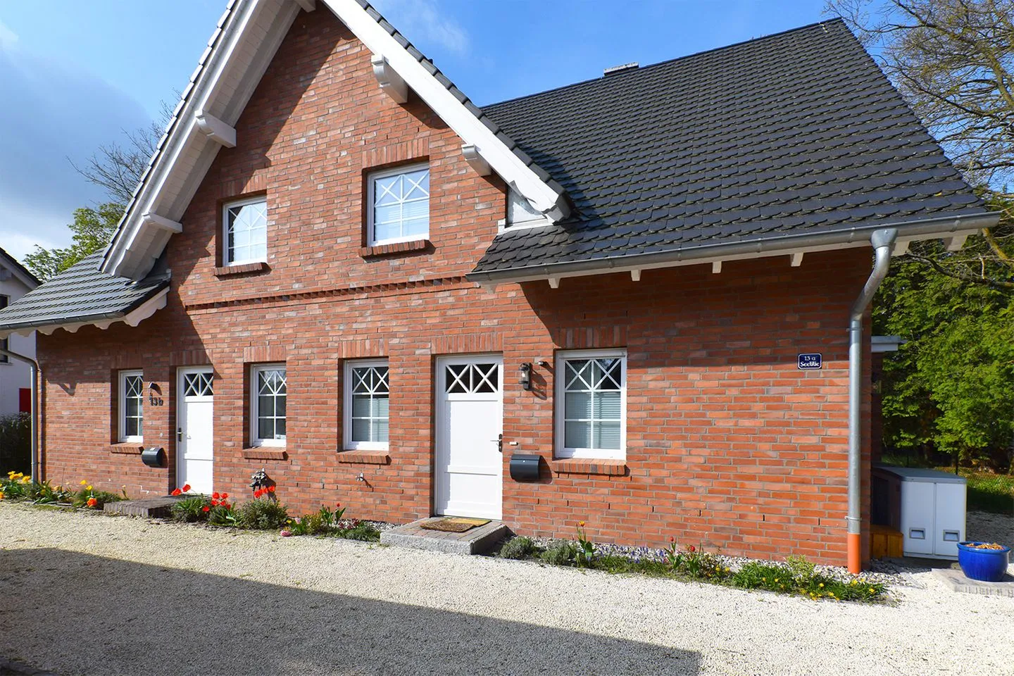 Seelilie Ostseebad Prerow -