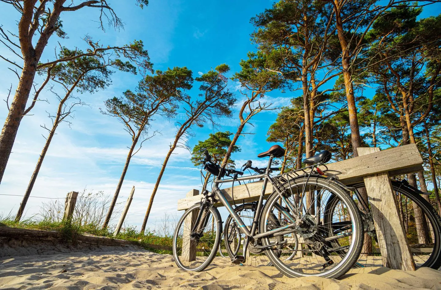 Deichperle Zingst - Strand