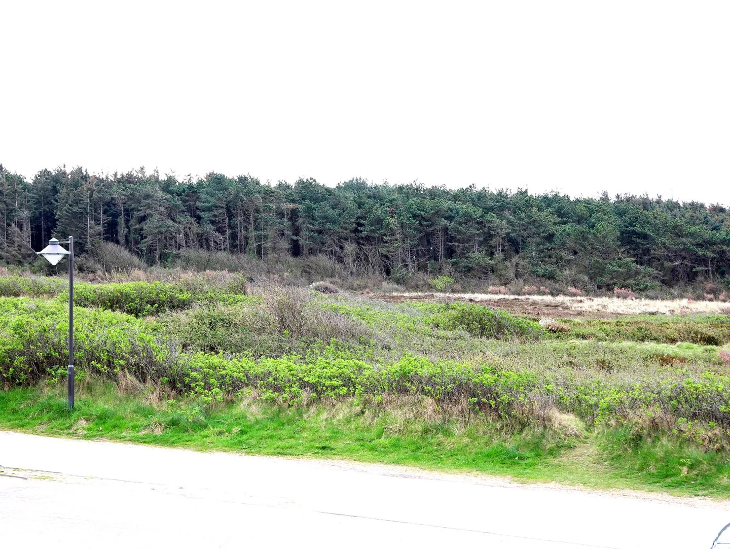 Fernsicht 12E, DG Wenningstedt - Landschaft