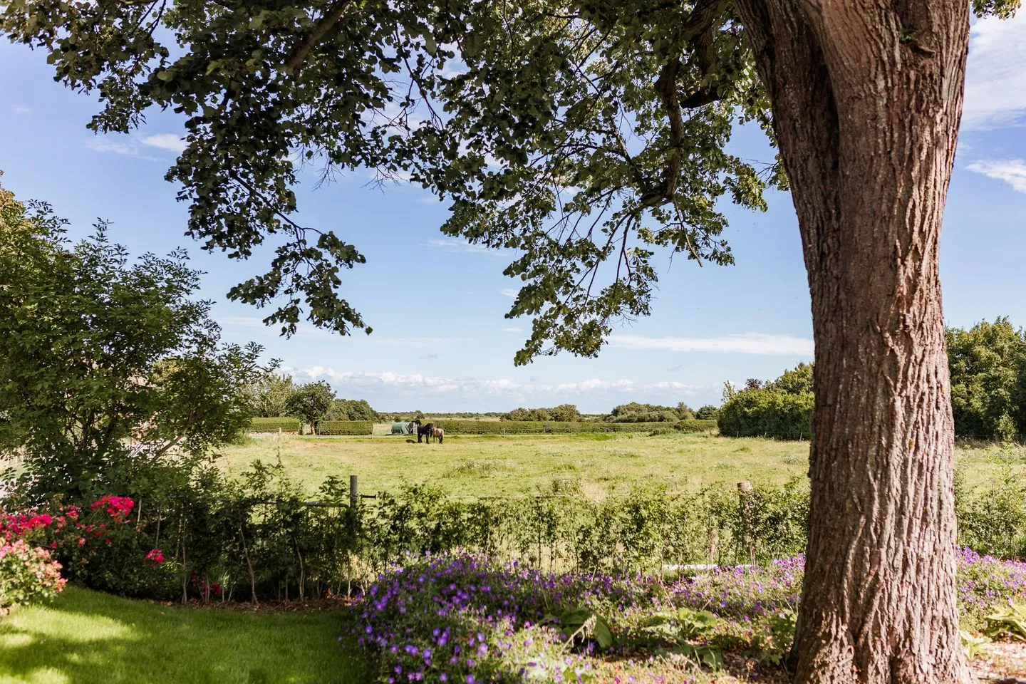 Caras Hus Midlum -