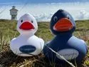 L'oog Perle Langeoog -