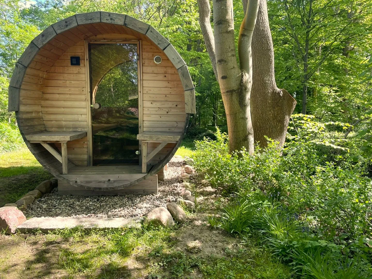 Reetdachkate Fuchsgraben Steinbergkirche - Sauna