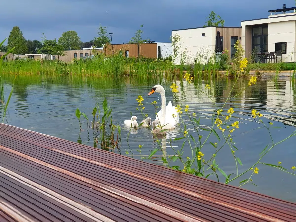 Marina Strandbad Chalet Wasserwelt Haus Nr. 32 Gelderland -
