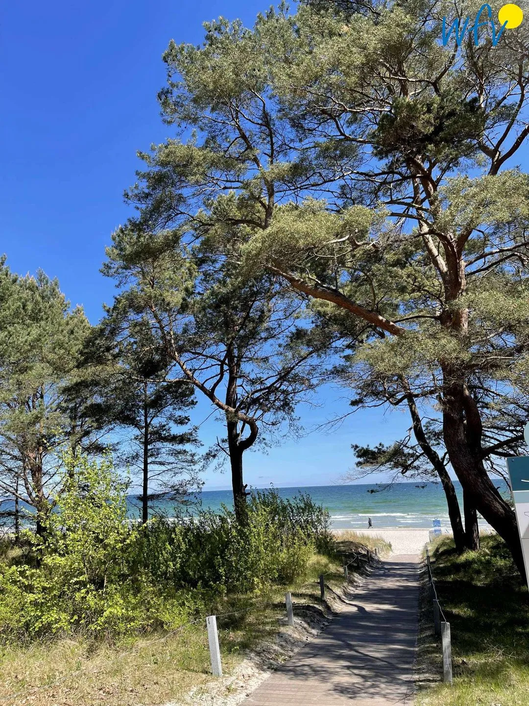 Dünenpark Binz Ferienwohnung 215 Rügen - Binz - Landschaft