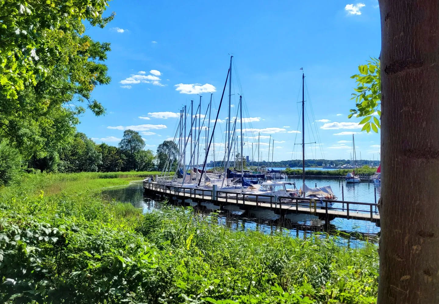 Neues Küstenjuwel mit erstklassiger Einrichtung direkt am Hafen "Momentic" Neustadt in Holstein - Der Weg zum Strand