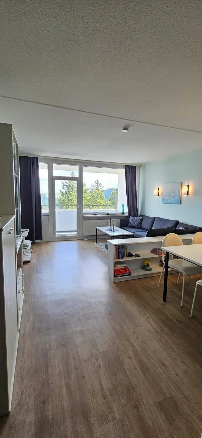 Fernblick Hahnenklee - Wohnzimmer