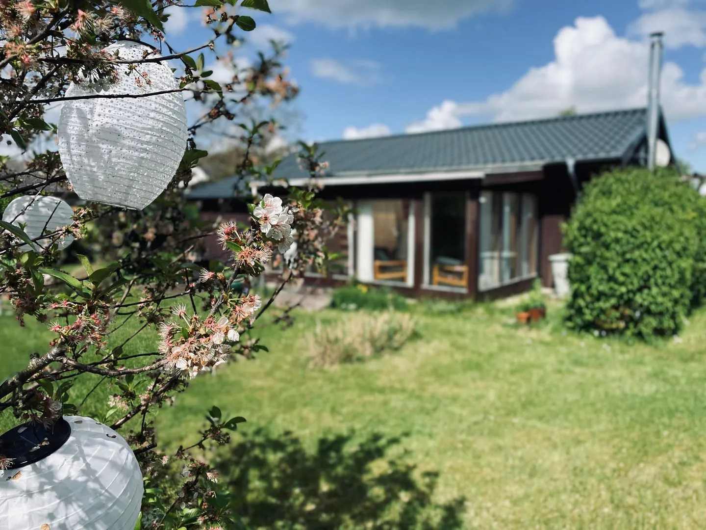 VITA Sonnholm Flensburger Förde - Ein großer, ruhiger Garten mit viel Platz für Erholung