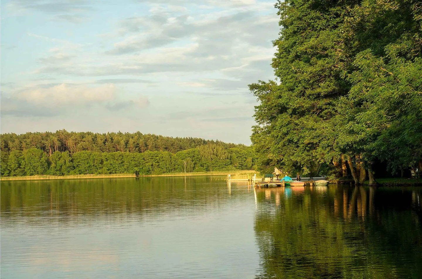 Rohrdommel Jabel - Ferienwohnung Rohrdommel Blick über den Loppiner See