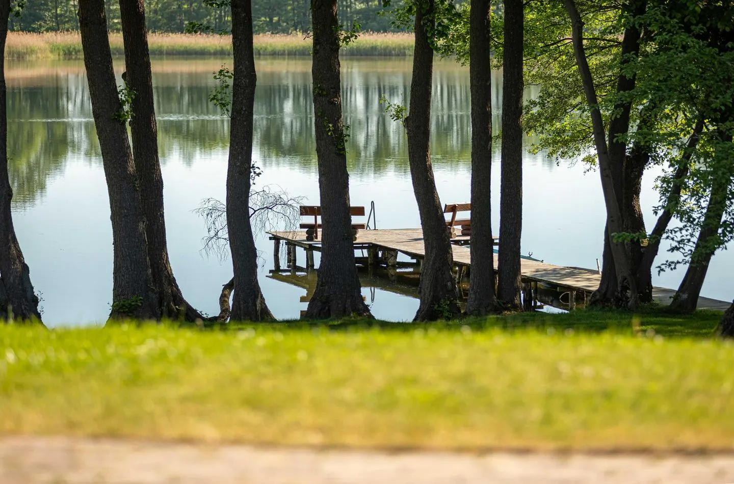 Stockente Jabel -