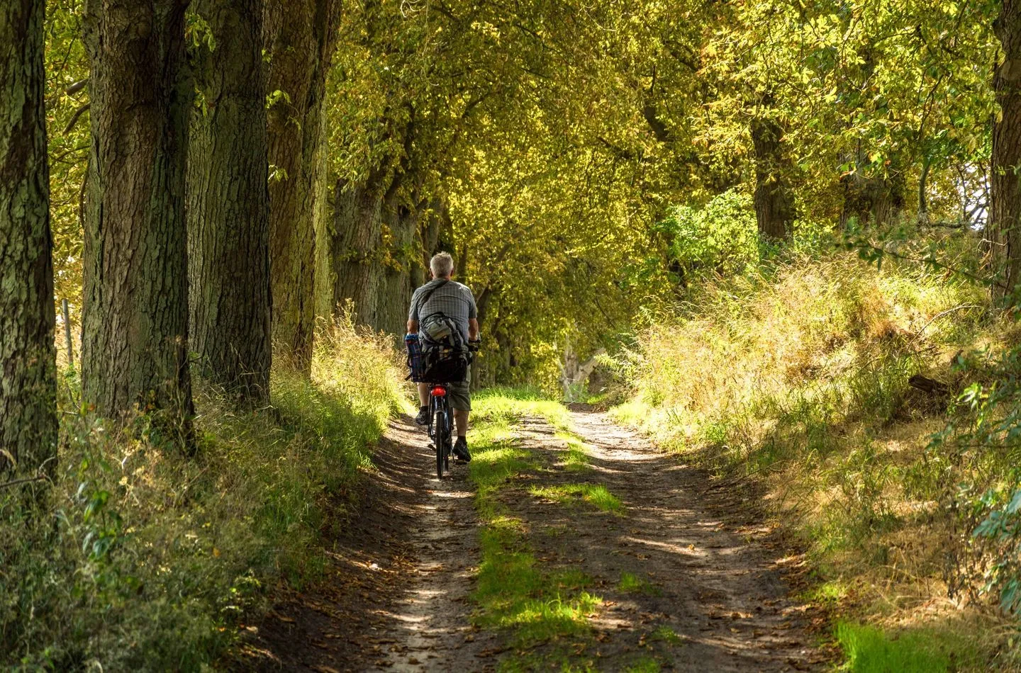 MöwenNest Silz - Ferienhaus MöwenNest umgeben von Fahrradwegen