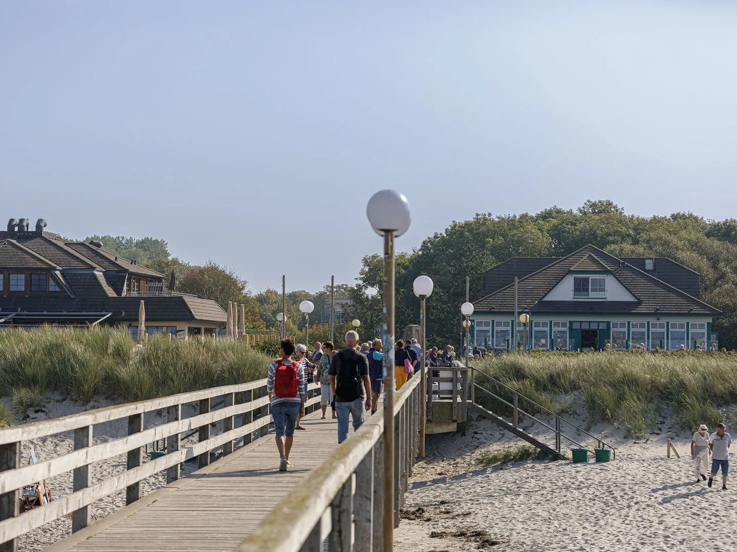 Strandflieder Wustrow - Strand