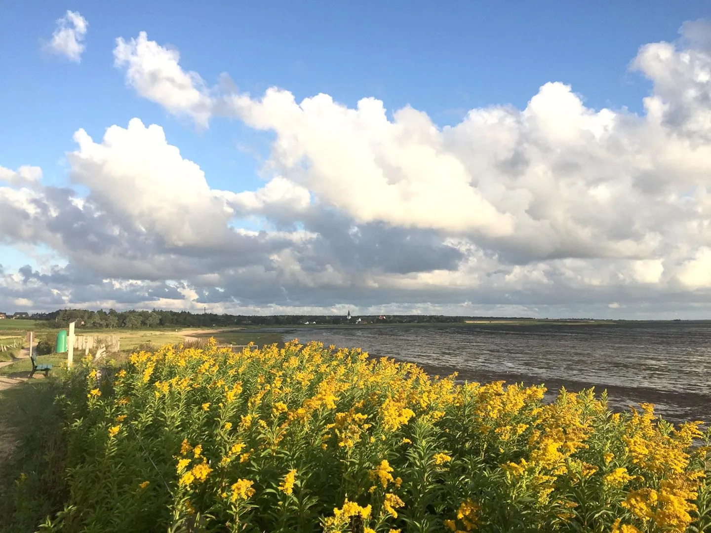 Friesenhaus Amrum Hommelkasche Süddorf auf Amrum - Wanderweg am Wattenmeer auf Amrum