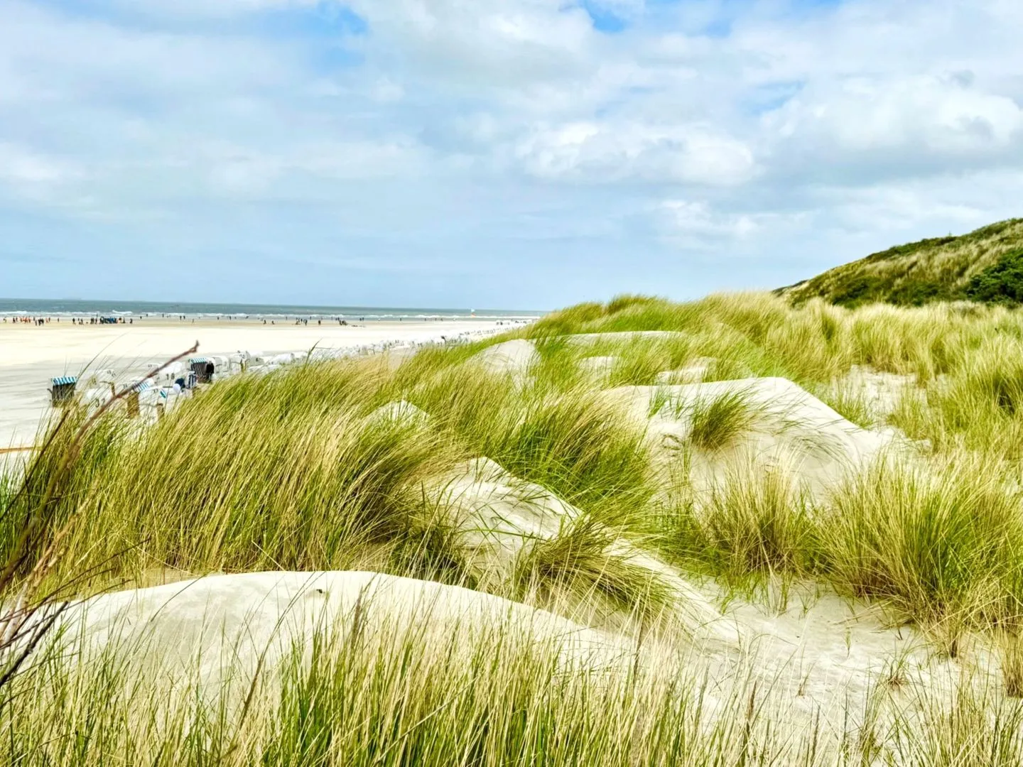 De Balken - 3 Strandgut Spiekeroog -