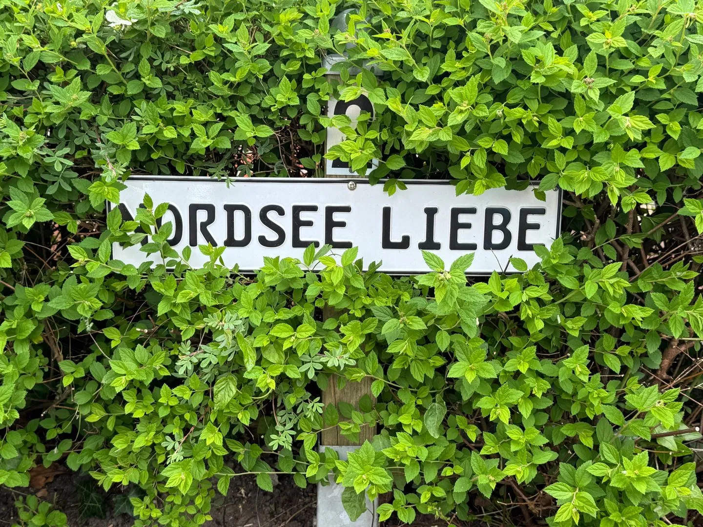 Nordseeliebe Bad - Empfang