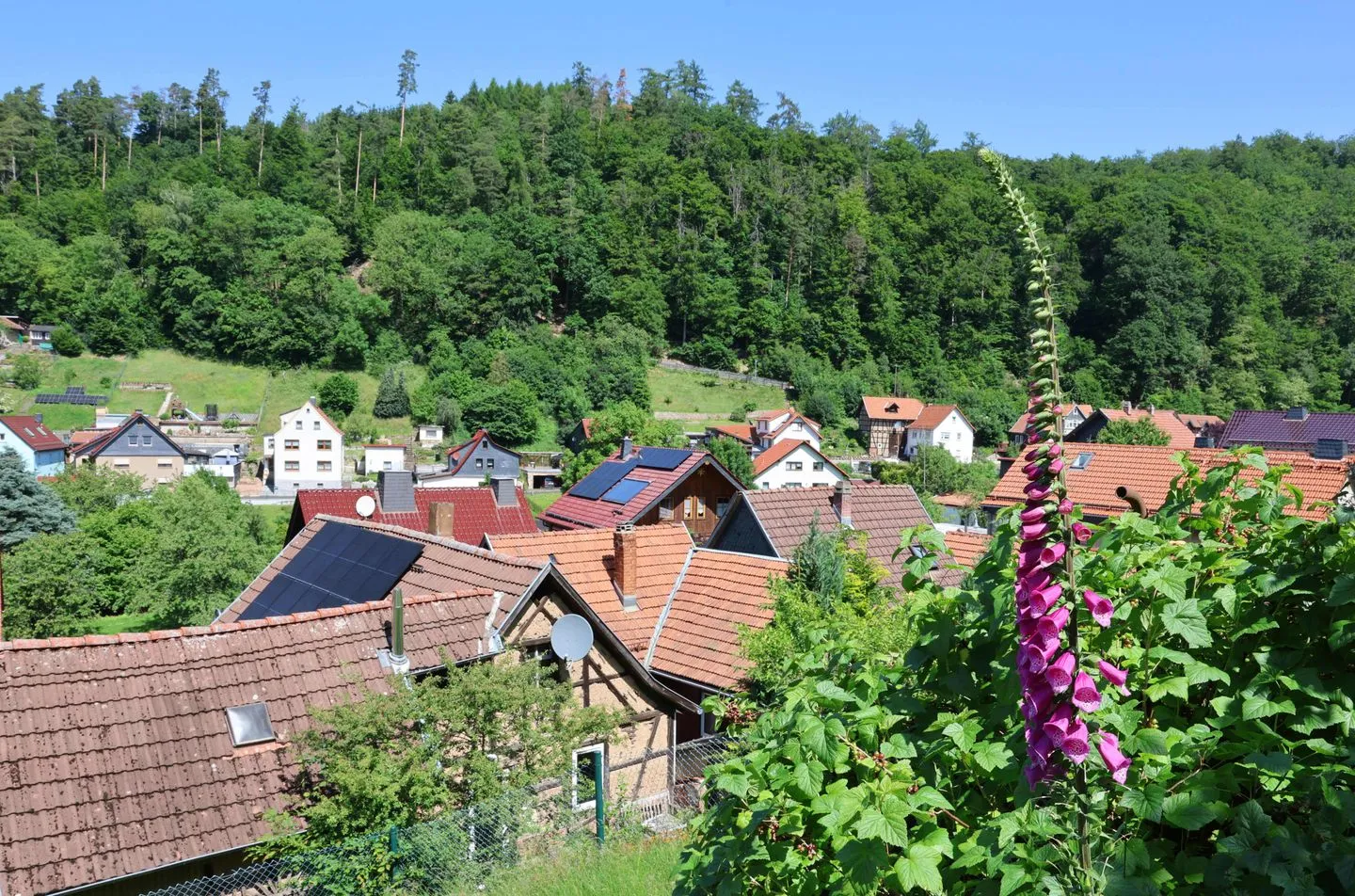 Haus im Grünen Thüringer Wald -