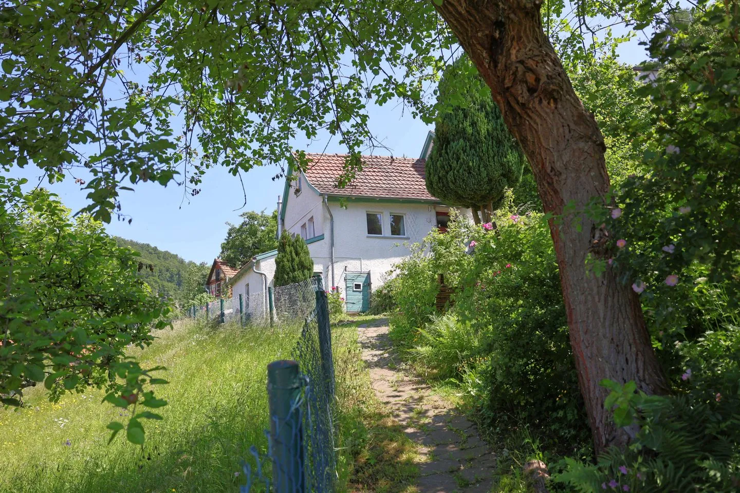 Haus im Grünen Thüringer Wald - Fußläufiger Zugang zum "Haus im Grünen"