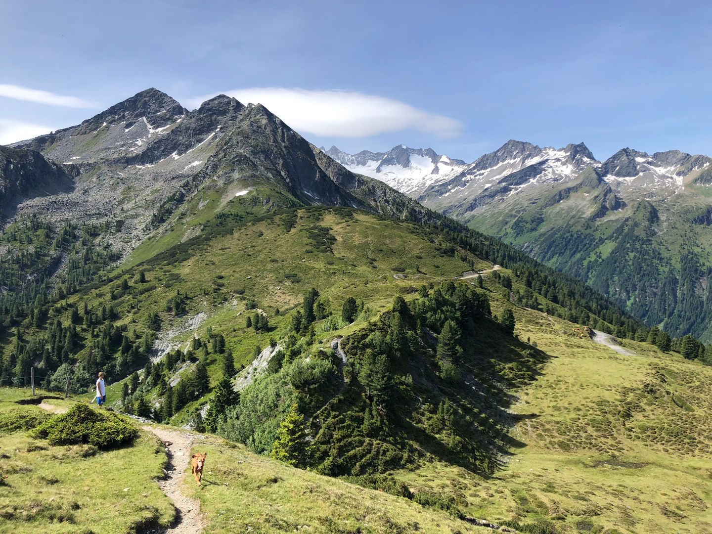 Berge