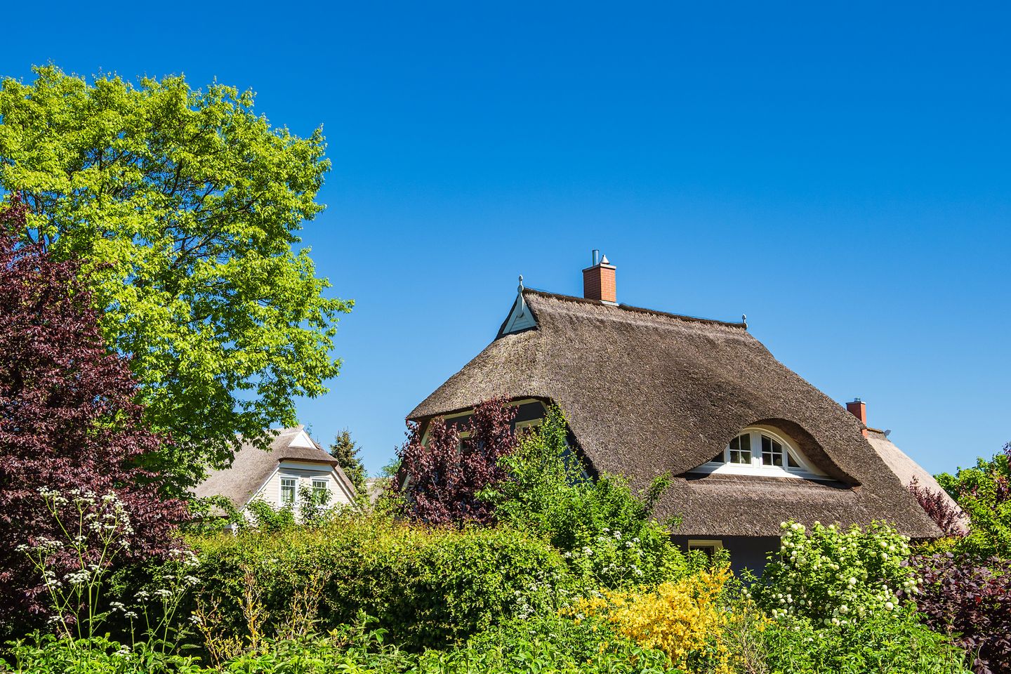 mit Reetdach gedecktes Haus auf dem Darß