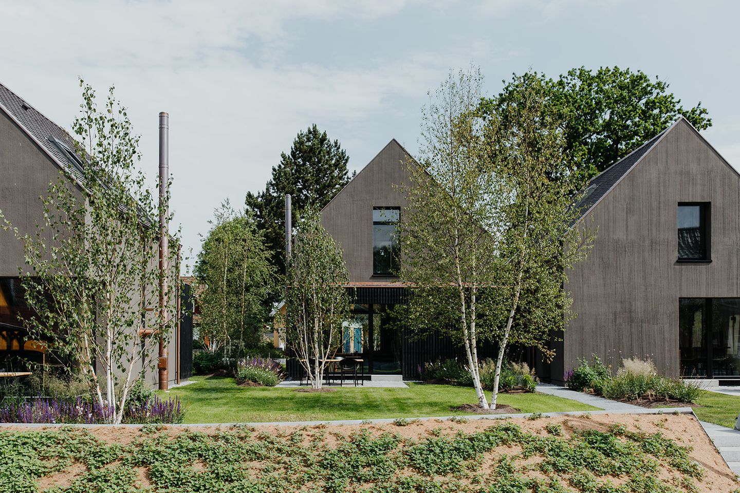 Auf dem Foto ist die moderne Ferienhausanlage DIE.VIER in Wieck auf dem Darß zu sehen. Im Vordergrund verläuft ein niedriger bepflanzter Erdwall mit einer bunten Wildblumenwiese. Dahinter erstreckt sich eine gepflegte Rasenfläche, die durch breite, barrierearme Wege aus hellem Kieselsteinchen unterbrochen wird. Die Wege führen direkt zu den einzelnen Ferienhäusern.  Die Häuser haben ein modernes, minimalistisches Design mit dunkler Besenputz-Fassade und großen, bodentiefen Fenstern. Die Giebeldächer sind mit dunklen Dachziegeln gedeckt. Zwischen den Häusern befinden sich angelegte Grünflächen mit jungen Birken, Sträuchern und blühenden Staudenbeeten.  Im Zentrum des Bildes steht eines der Ferienhäuser - DAS.ZWEITE - frontal im Fokus. Vor dem Haus ist eine kleine Terrasse mit Sitzmöbeln zu sehen. Die Wege und der Zugang zur Terrasse sind eben und wirken gut zugänglich.  Im Hintergrund sind weitere Ferienhäuser derselben Anlage sowie hohe Bäume sichtbar, die den gepflegten, naturnahen Charakter der Anlage unterstreichen.