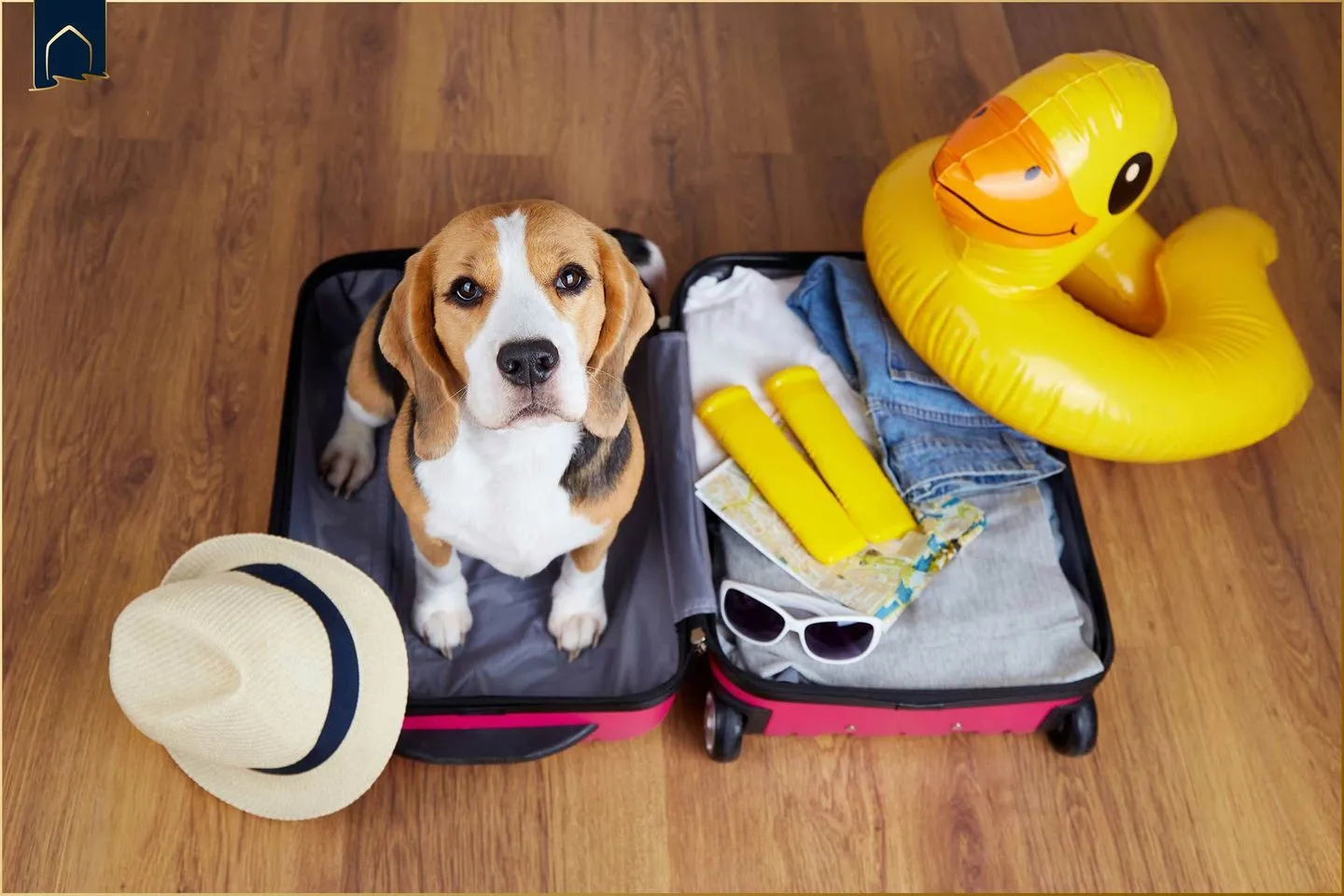 Ferienwohnung Sonnenblick Ostseebad Ückeritz -